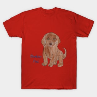 Barking Mad - Dog T-Shirt